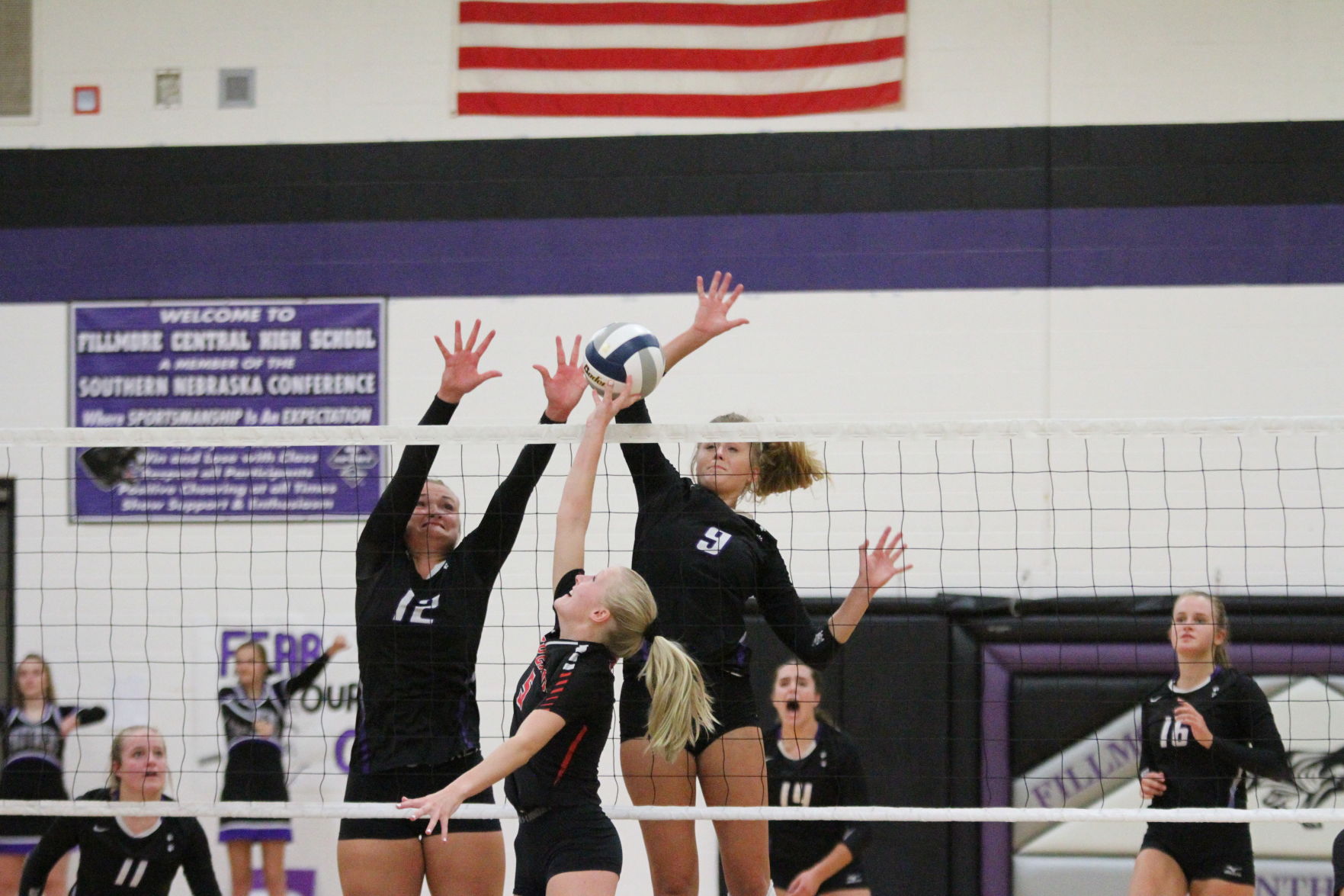 Volleyball (102).JPG